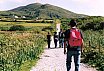 Tour in Irlanda