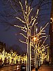 Berlino