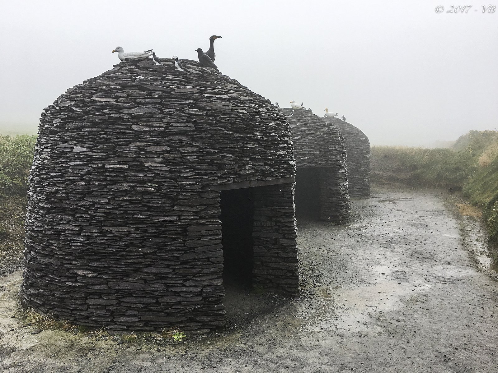 A spasso per...l'Irlanda
