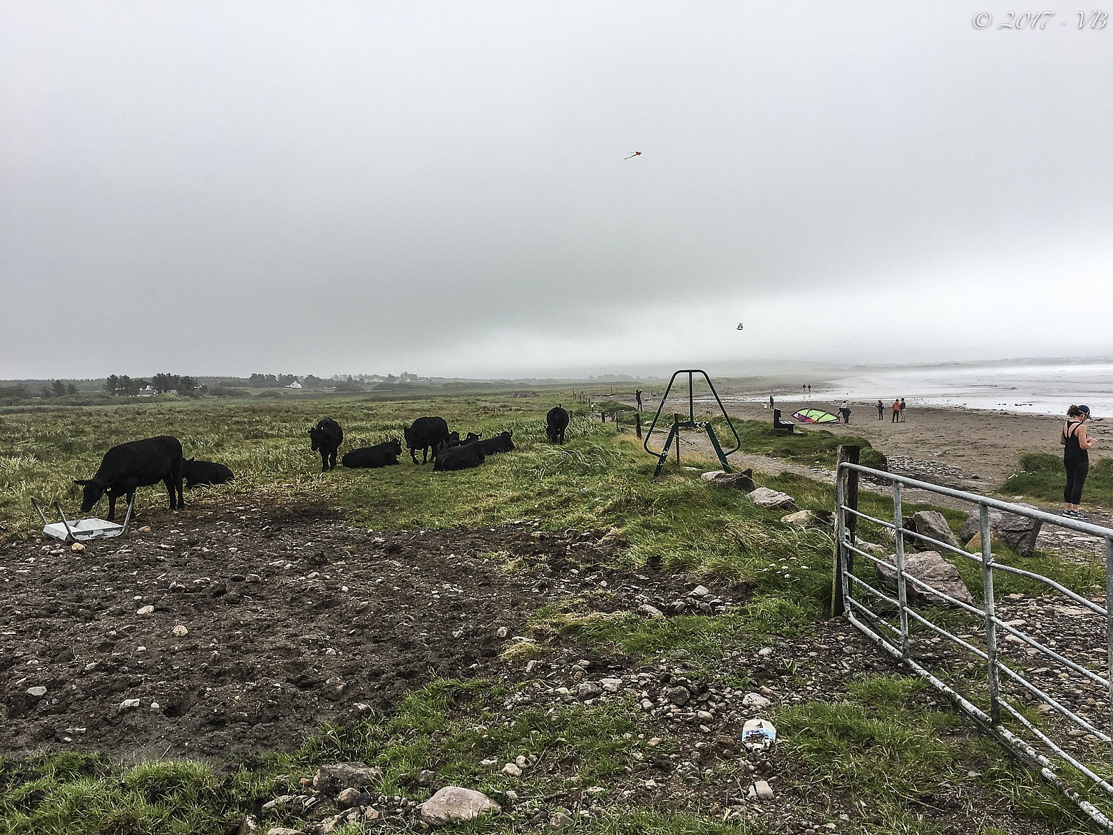 A spasso per...l'Irlanda