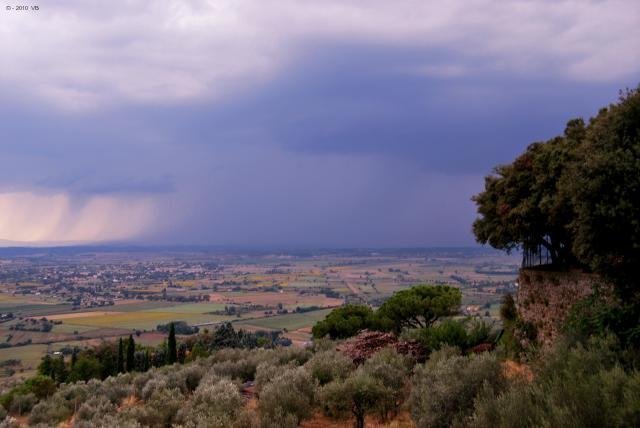 Cortona Wine Tasting