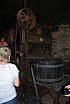 Cortona Wine Tasting