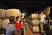 Cortona Wine Tasting