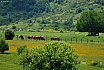 Sibillini, Gran Sasso & L'Aquila