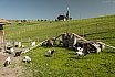 Motorraid 2015: Svizzera ed Austria