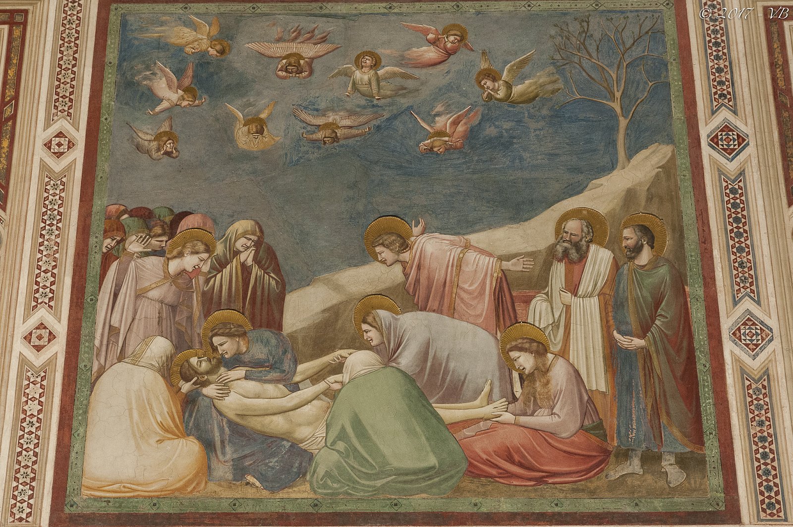 Padova, Teatro Olimpico di Vicenza e Colli Berici
