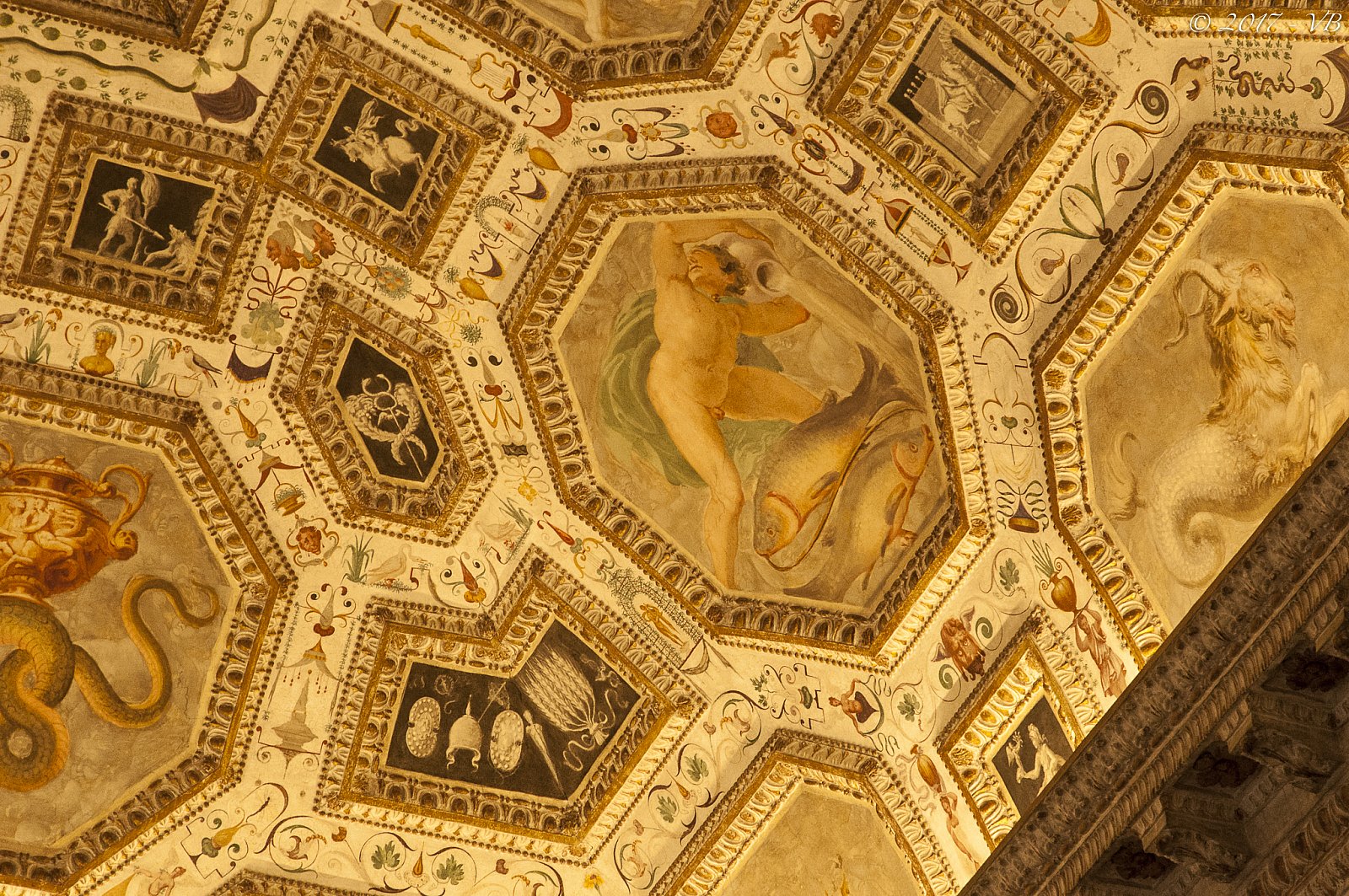 Padova, Teatro Olimpico di Vicenza e Colli Berici
