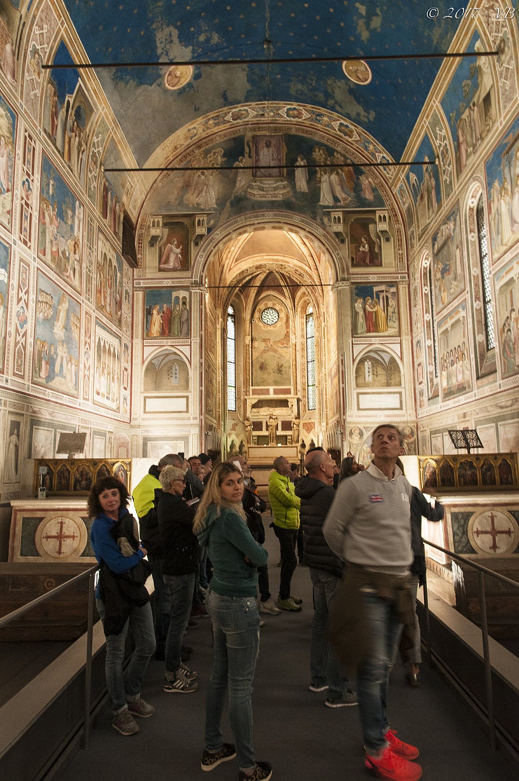 Padova, Teatro Olimpico di Vicenza e Colli Berici