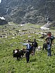 Valle d'Aosta