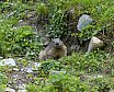 Valle d'Aosta