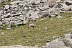 Valle d'Aosta