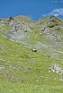 Valle d'Aosta