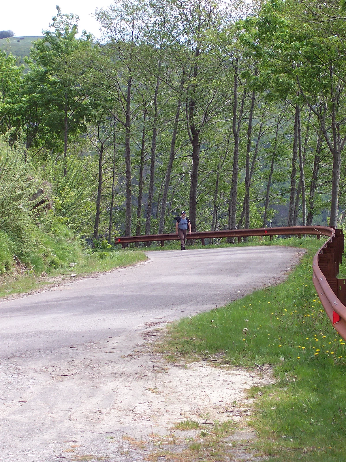 Trekking sul Pratomagno