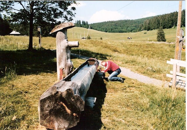 Svizzera-Germania