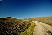 Val d'Orcia e Val di Chiana