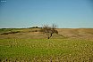 Val d'Orcia e Val di Chiana