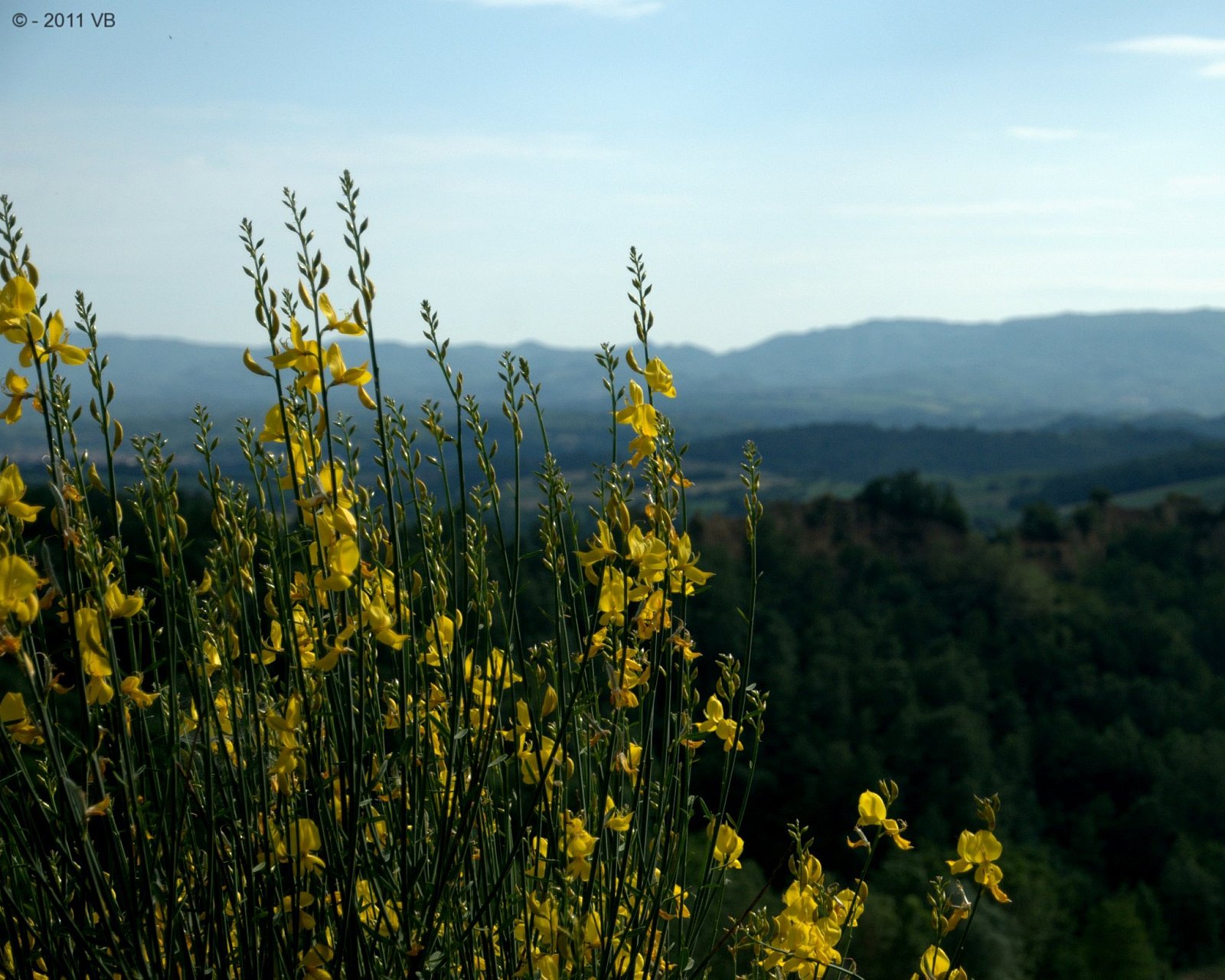 Balze del Valdarno