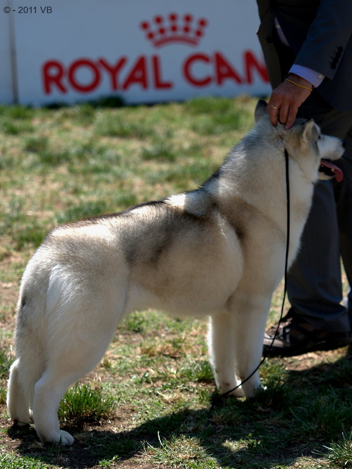 Mostra Canina