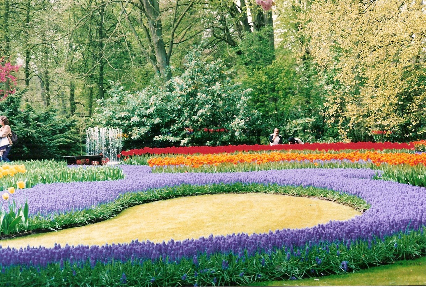 Olanda - Amsterdam