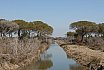 Maremma - Foce Ombrone