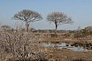 Maremma - Foce Ombrone