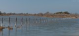 Maremma - Foce Ombrone