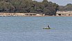 Maremma - Foce Ombrone