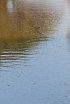 Maremma - Foce Ombrone